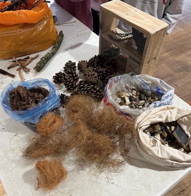 A table neatly arranged with materials for building bug hotels, including wooden blocks, bamboo canes, pine cones, twine, small terracotta pots, and hand tools. The setup is ready for a hands-on activity, with natural and recycled items laid out in an inviting and organised manner, encouraging creativity and environmental learning.
