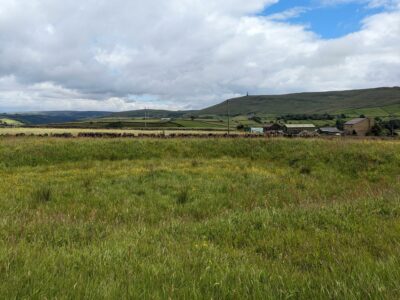 A photo of an attenuation basin surrounded by lush green fields under a partly cloudy sky. The basin is integrated into the natural landscape, with gentle slopes and vibrant vegetation, capturing the balance between water management and rural scenery.